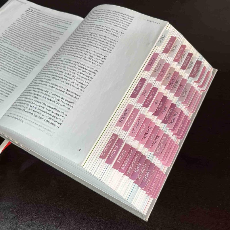 thinkor Spanish Laminated Bible Tabs, pestañas para biblia en español, Reposition Large Print Stickers, Easy to Read and Apply Bible Tabs for Women and Man (Spanish Pink) - Image 4